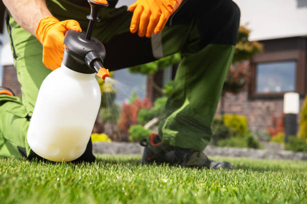 Best Wildlife Control Services  in Mabank, TX