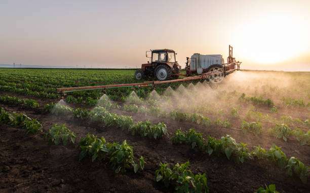 Best Insect Control  in Mabank, TX