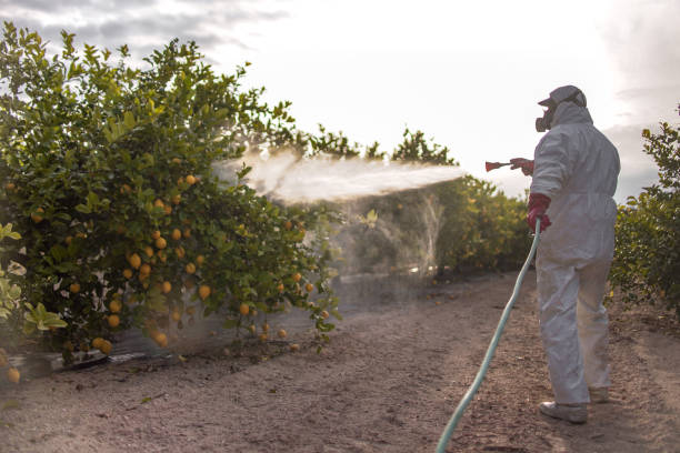 Best Pest Inspection Near Me  in Mabank, TX