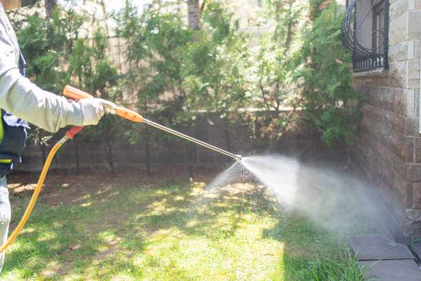 Bird Control in Mabank, TX