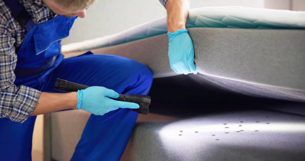 Pest Control for Restaurants in Mabank, TX